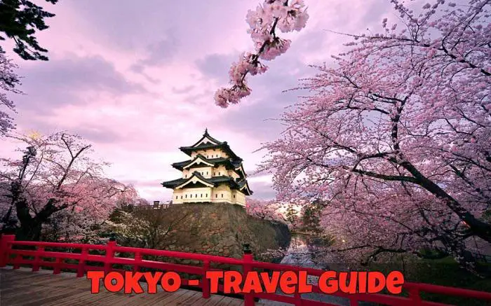 Tokyo, Japan travel guide