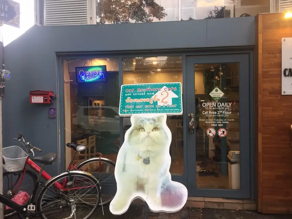 Cat Brothers Cafe Storefront