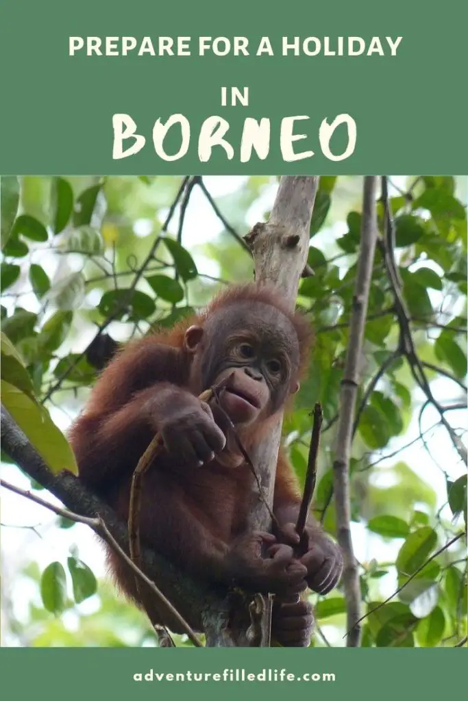 full guide to Borneo / Kalimantan
