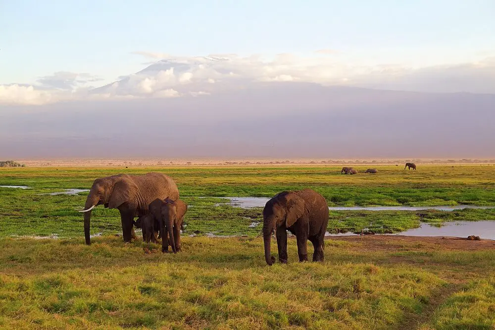 10 best things to see and do in Nairobi kenya