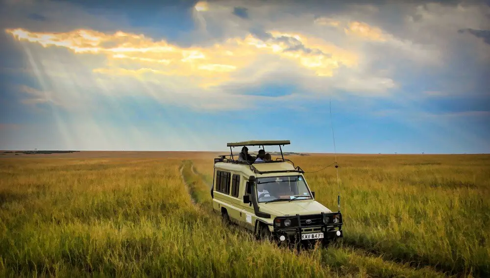 Best National Parks in Kenya for a Safari