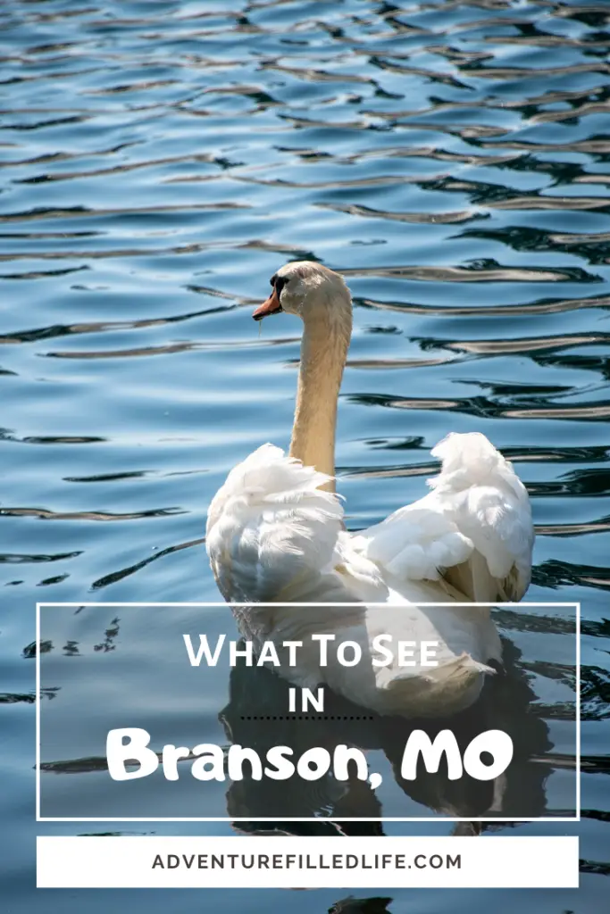 Things to see and do in Branson, MO - pin 2